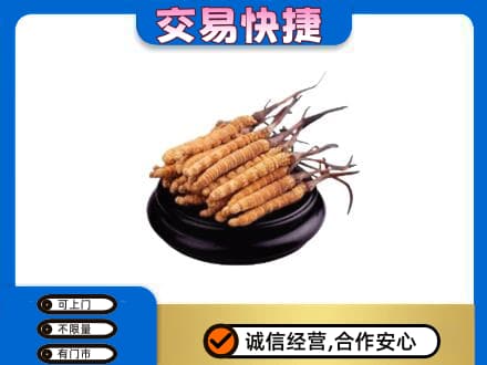曲靖市麒麟高价回收冬虫夏草多少钱每克